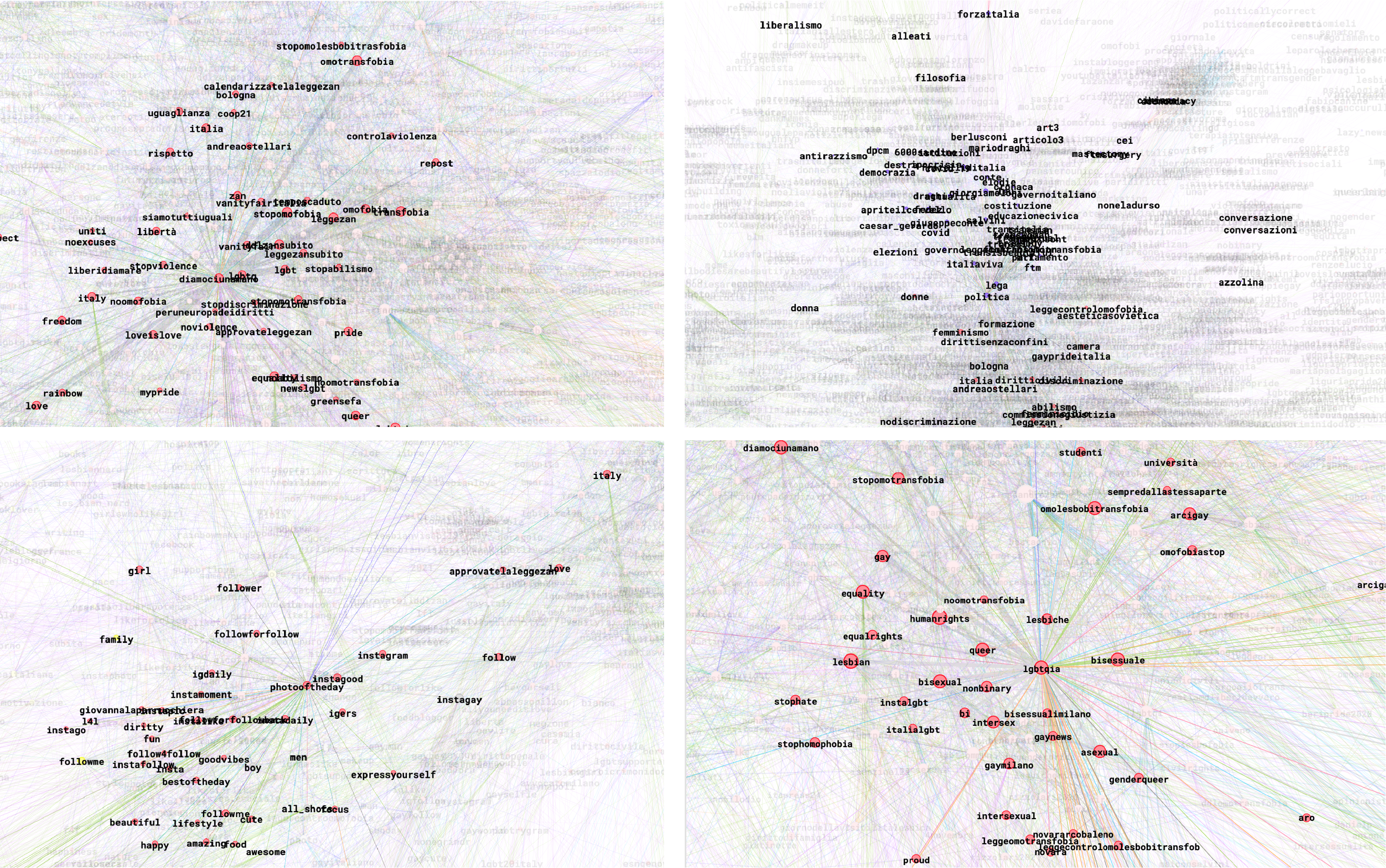 rete gephi hashtag ddlzan